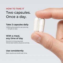 Epicatechin Supplement