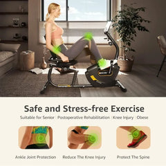 Recumbent Exercise Bike for Adults Seniors
