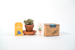 Get Growing Mindful Gardening Kit – Journal & Grow Kit