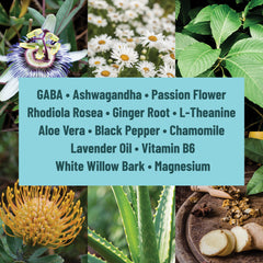 Calm Patches with GABA, Ashwagandha & L-Theanine – 36 Patches